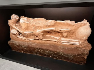 image6